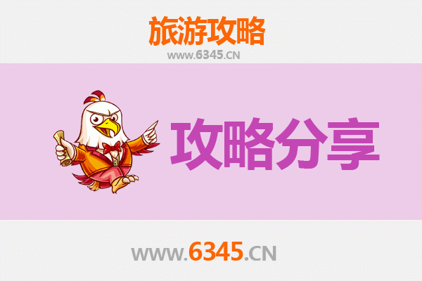 漳州龙海旅游攻略：跟团与自由行深度对比